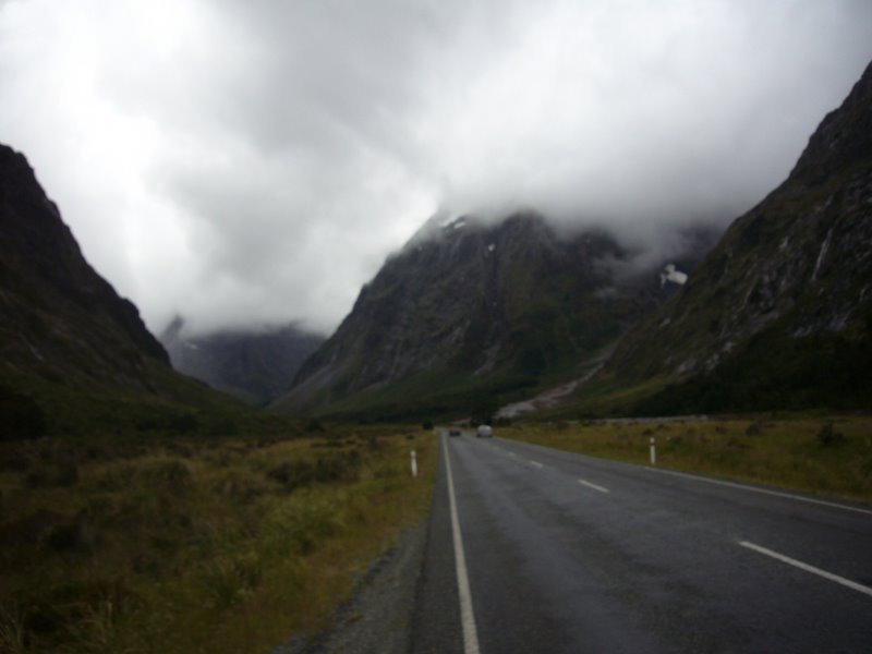 Fiordland